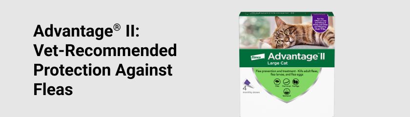 Sponsored Advertisement for Elanco. Advantage II: Vet-Recommended protection against Fleas. CTA