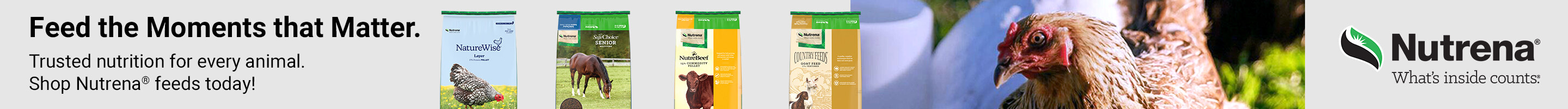 Sponsored Advertisement for Nutrena. Feed the Moments that Matter.  Trusted nutrition for every animal. Trusted nutrition for every animal. Shop Nutrena ® feeds today!   Shop Now.