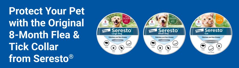 Sponsored Advertisement for Elanco. Protect your pet with the original 8-month flea & tick collar from Seresto. CTA