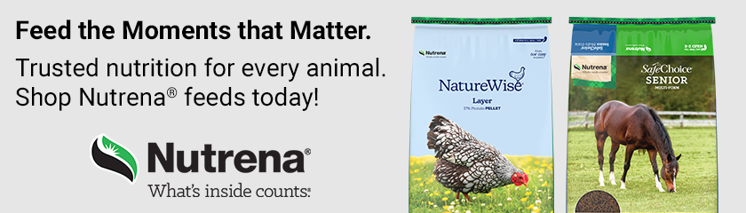 Sponsored Advertisement for Nutrena. Feed the Moments that Matter.  Trusted nutrition for every animal. Trusted nutrition for every animal. Shop Nutrena ® feeds today!   Shop Now.
