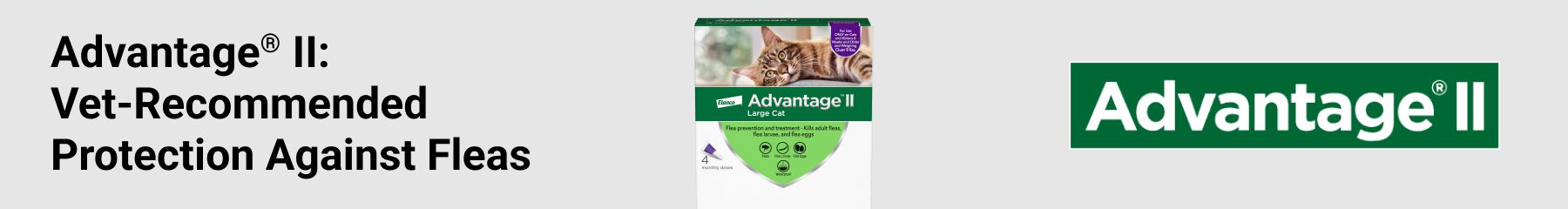 Sponsored Advertisement for Elanco. Advantage II: Vet-Recommended protection against Fleas. CTA
